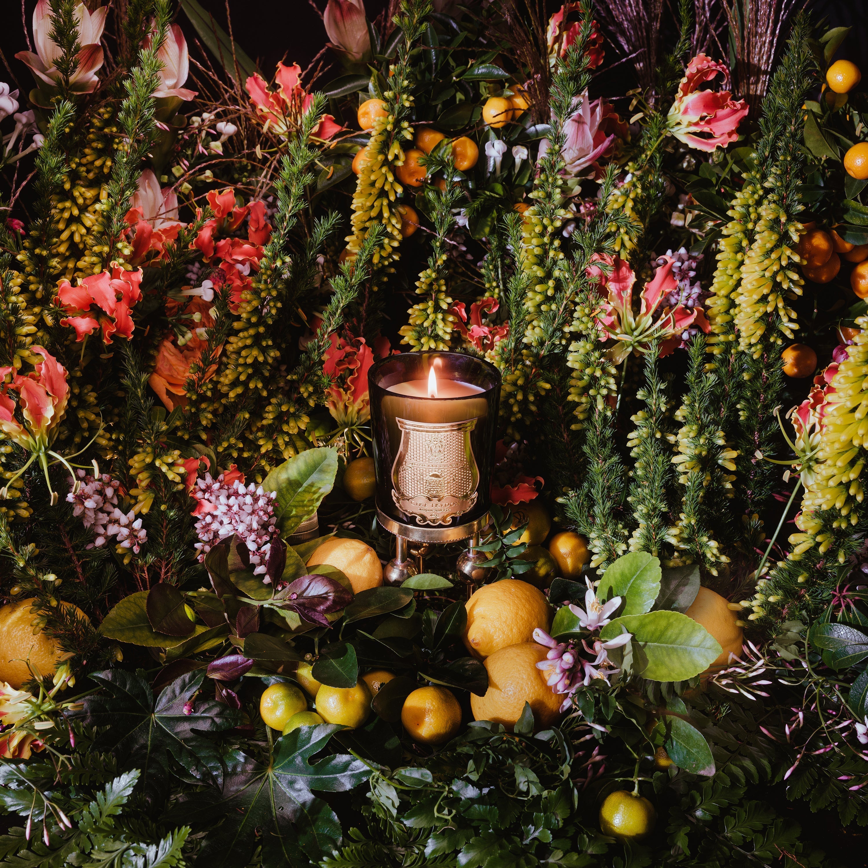 Lloyd and Paul Home Luxuries Trudon Candles