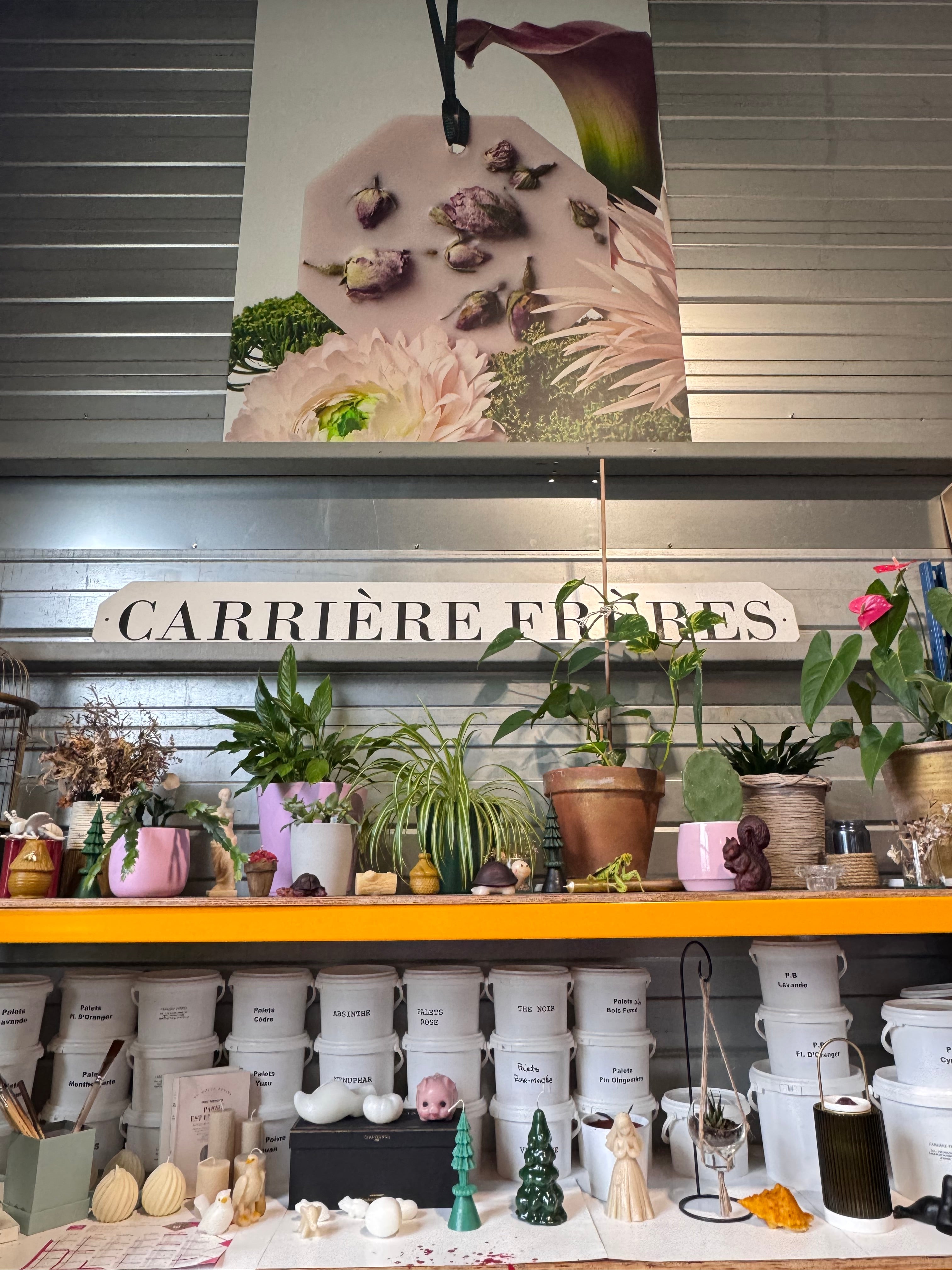 A Journey to Normandy: Discovering Carrière Frères and the Creation of Rose Damask Botanical Palets