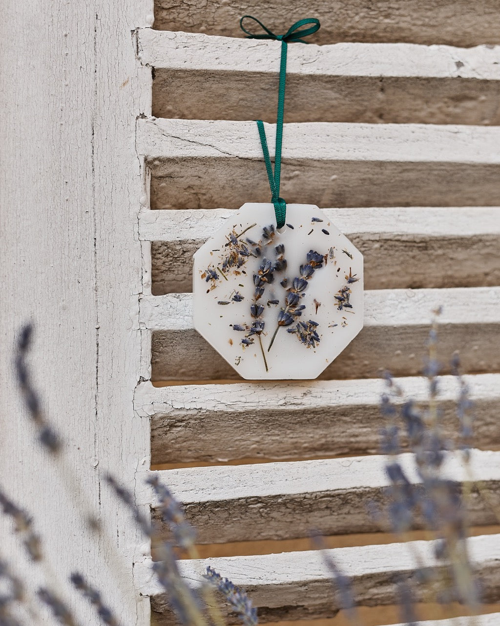 LLOYD AND PAUL HOME LUXURIES CARRIERE FRERES BOTANICAL PALET