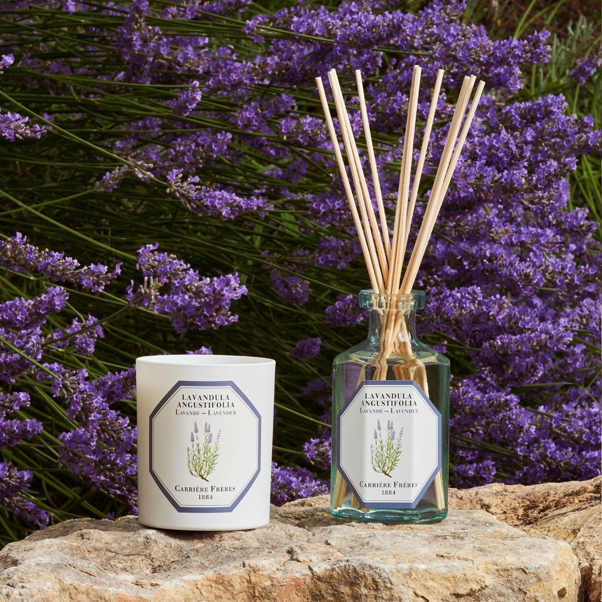 LLOYD AND PAUL HOME LUXURIES CARRIERE FRERES LAVENDER RANGE