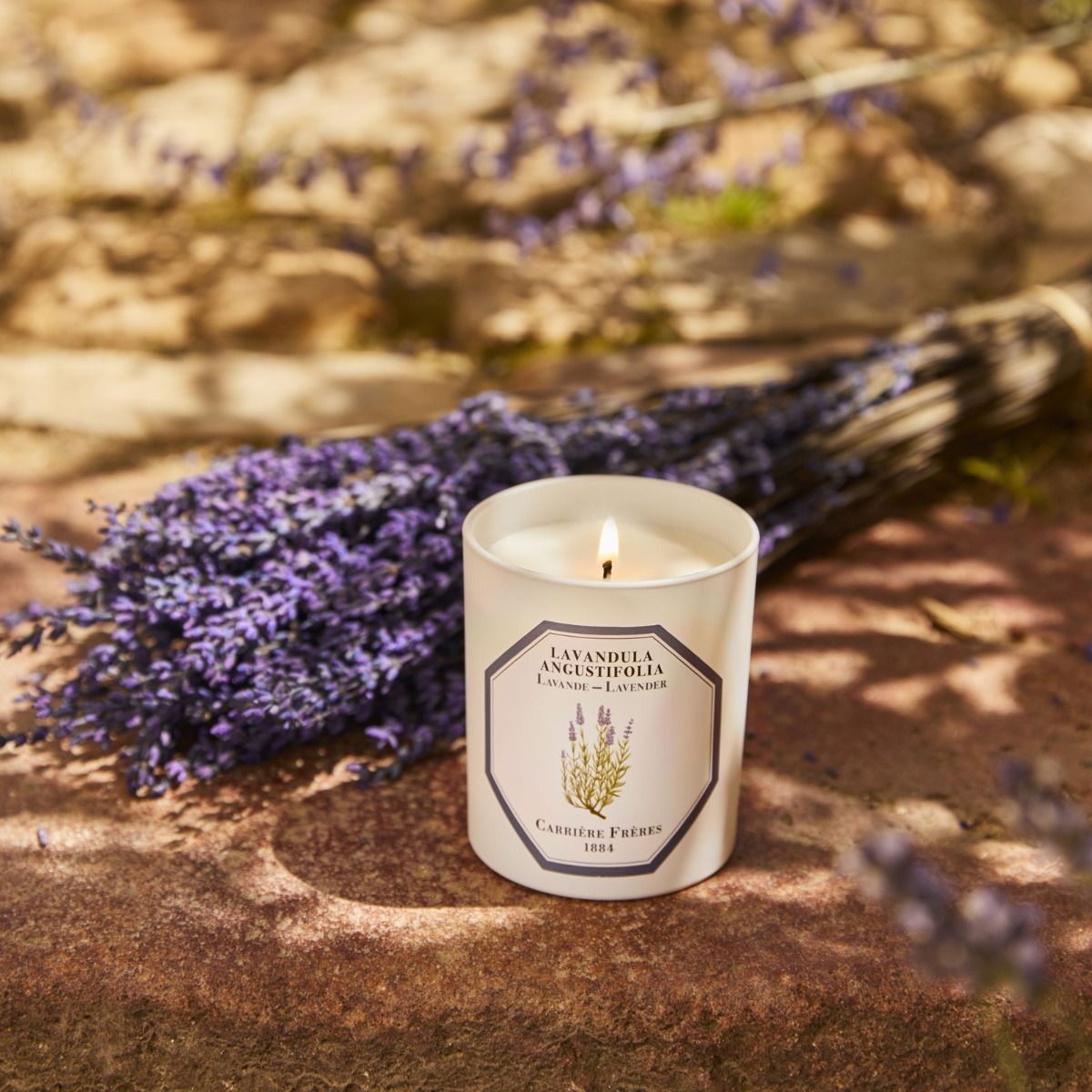 LLOYD AND PAUL HOME LUXURIES CARRIERE FRERES LAVENDER CANDLE