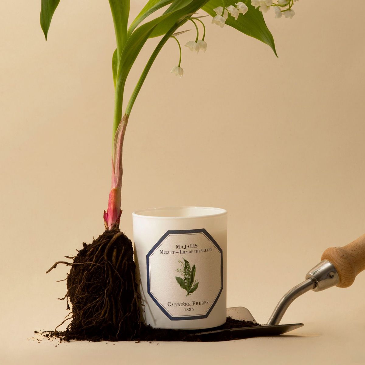 LLOYD AND PAUL HOME LUXURIES CARRIERE FRERES LILY OF THE VALLEY CANDLE