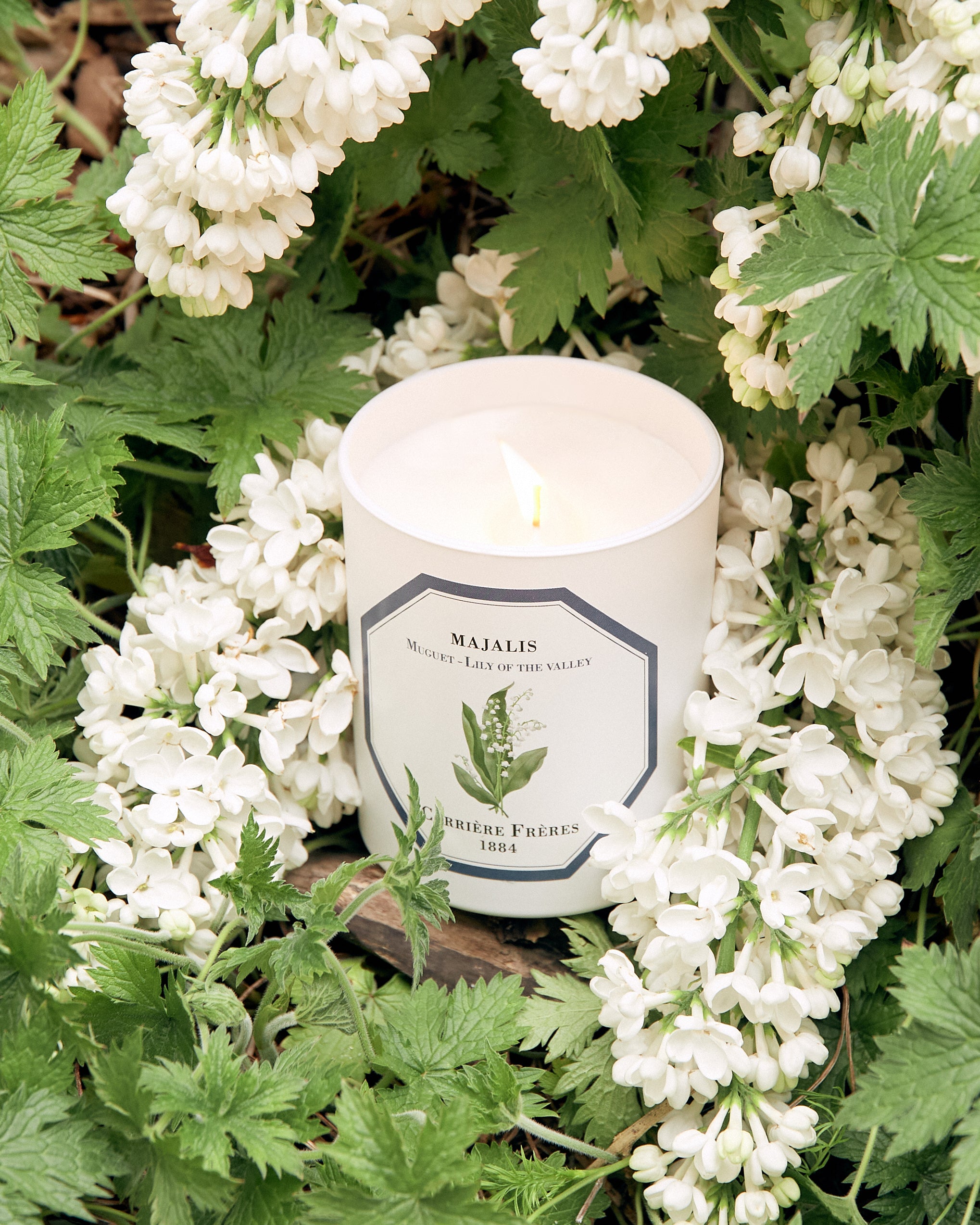 LLOYD AND PAUL HOME LUXURIES CARRIERE FRERES LILY OF THE VALLEY CANDLE
