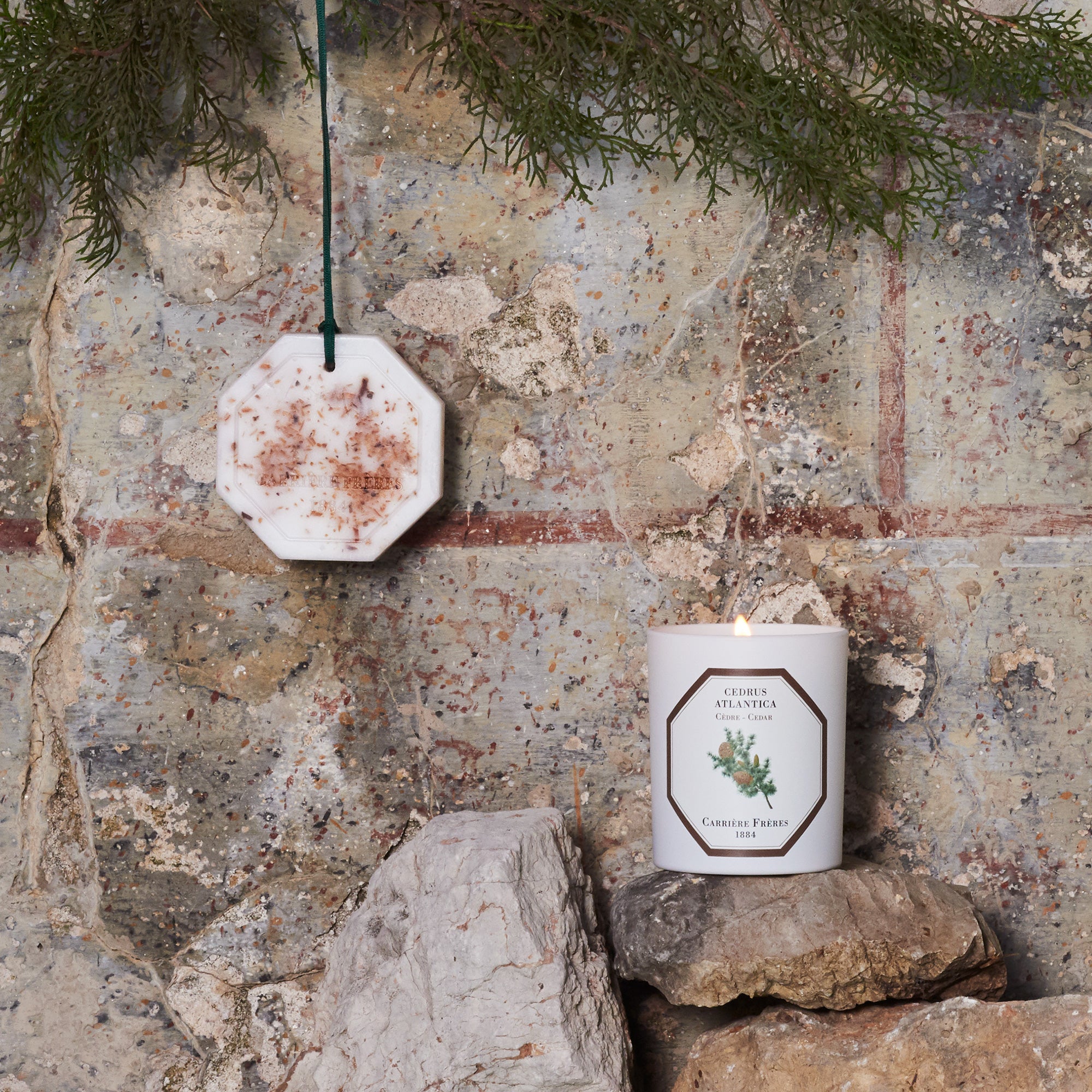 Carrière Frères Cedar Botanical Palet