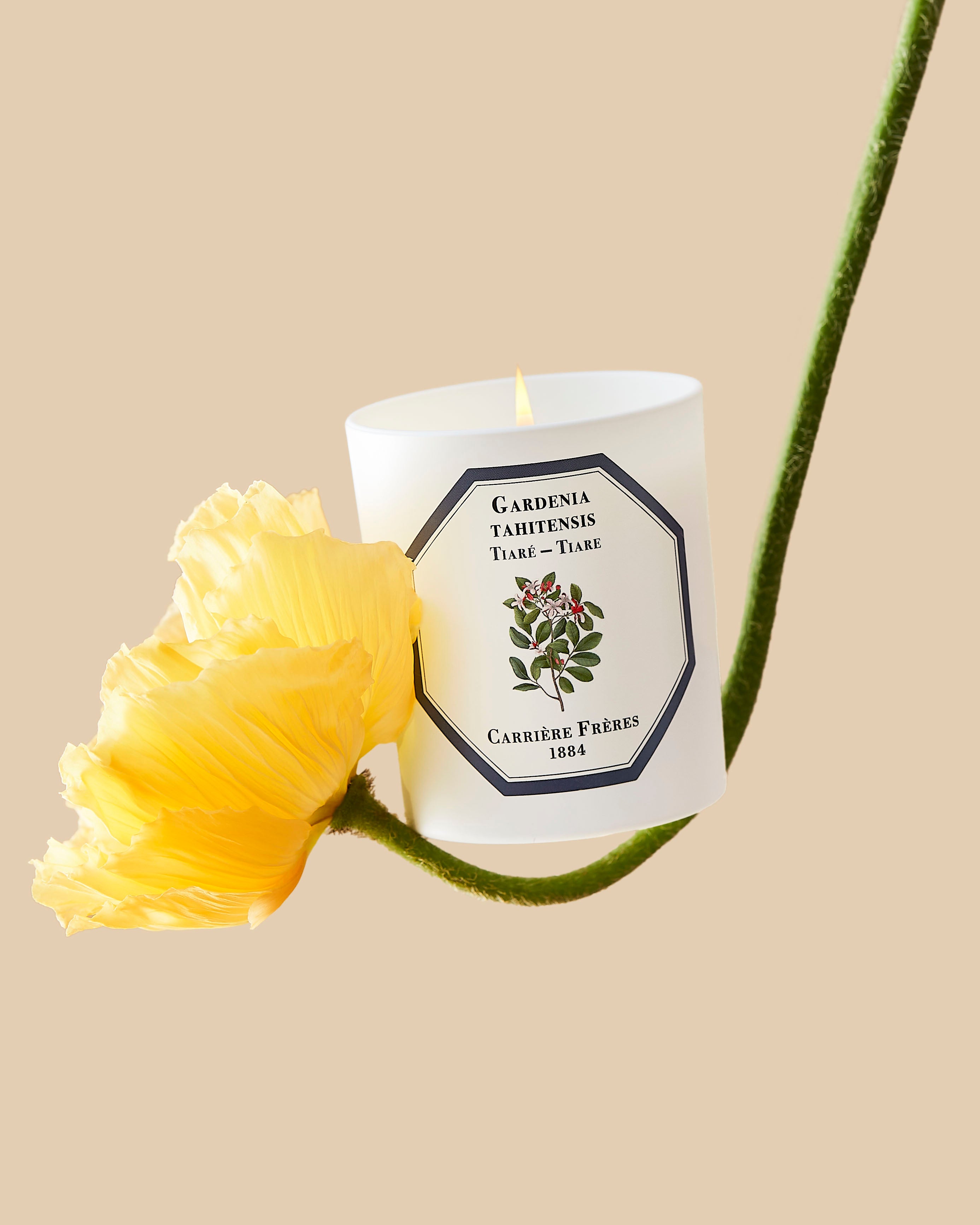 Tiare Candle 185g