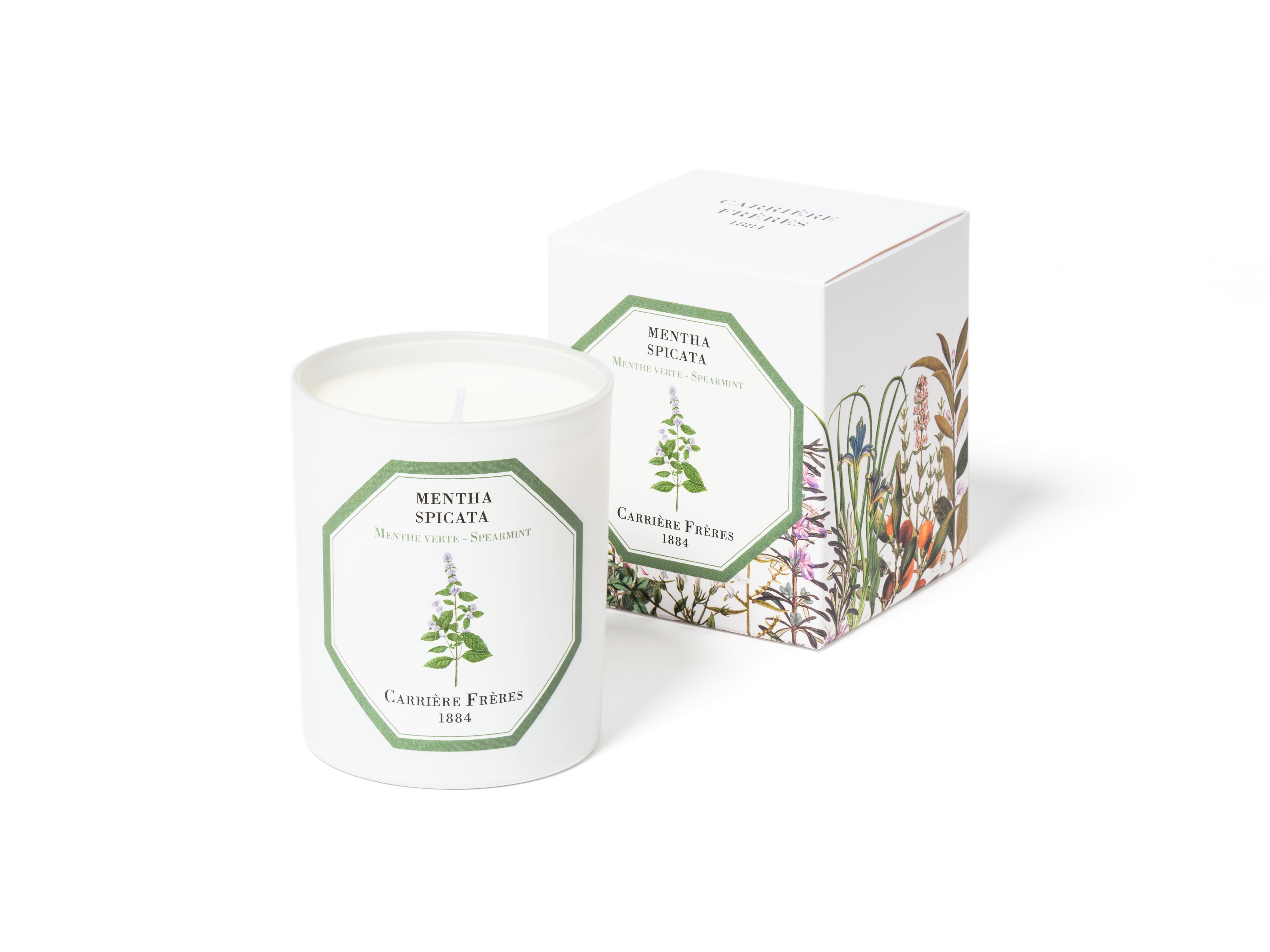 LLOYD AND PAUL HOME LUXURIES CARRIERE FRERES Spearmint candle
