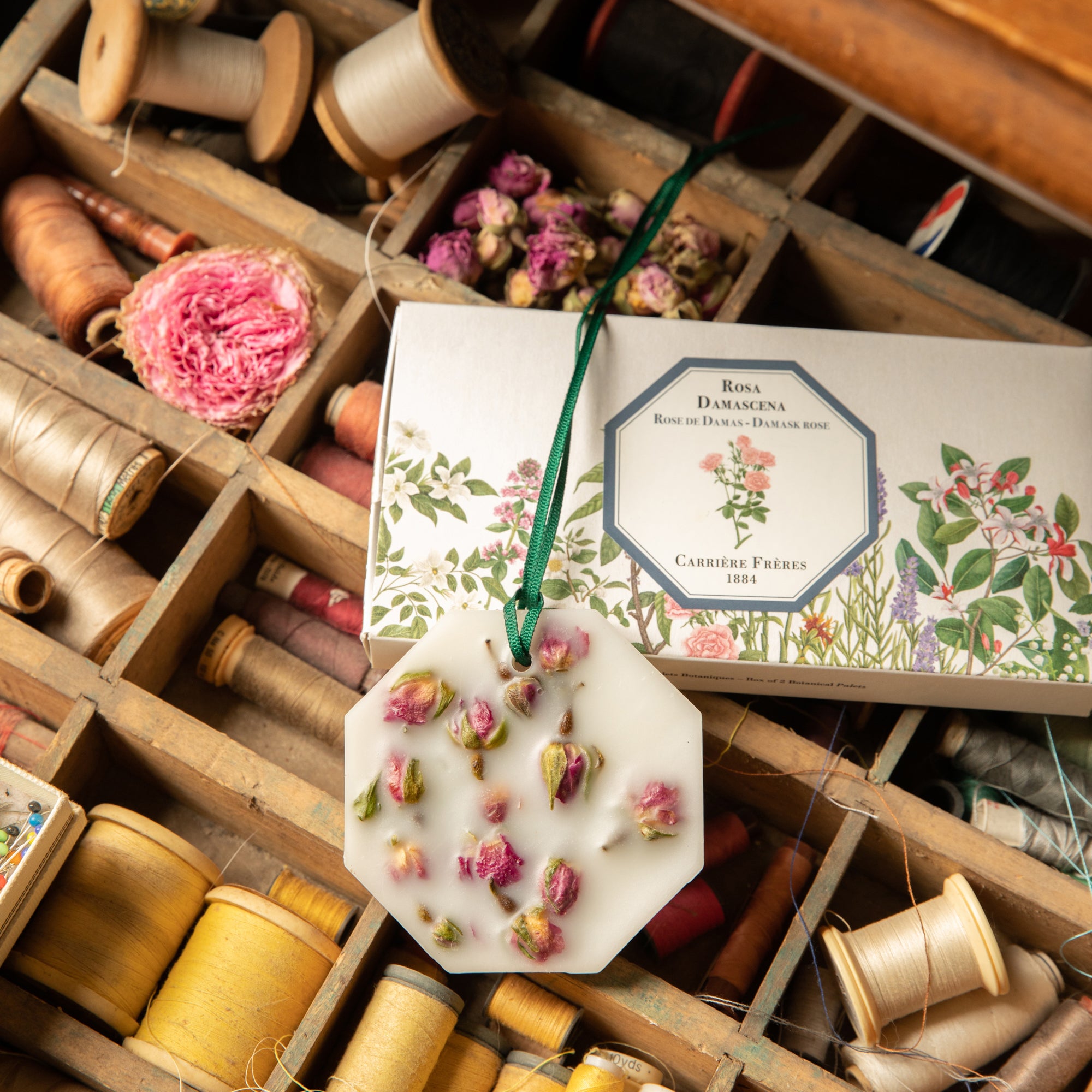 Damask Rose Botanical Palet