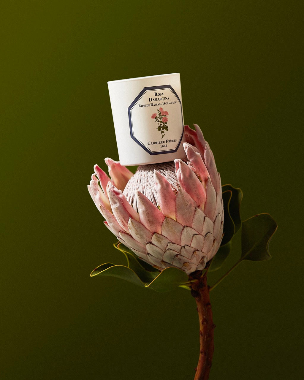 Carrière Frères Damask Rose Candle 185g