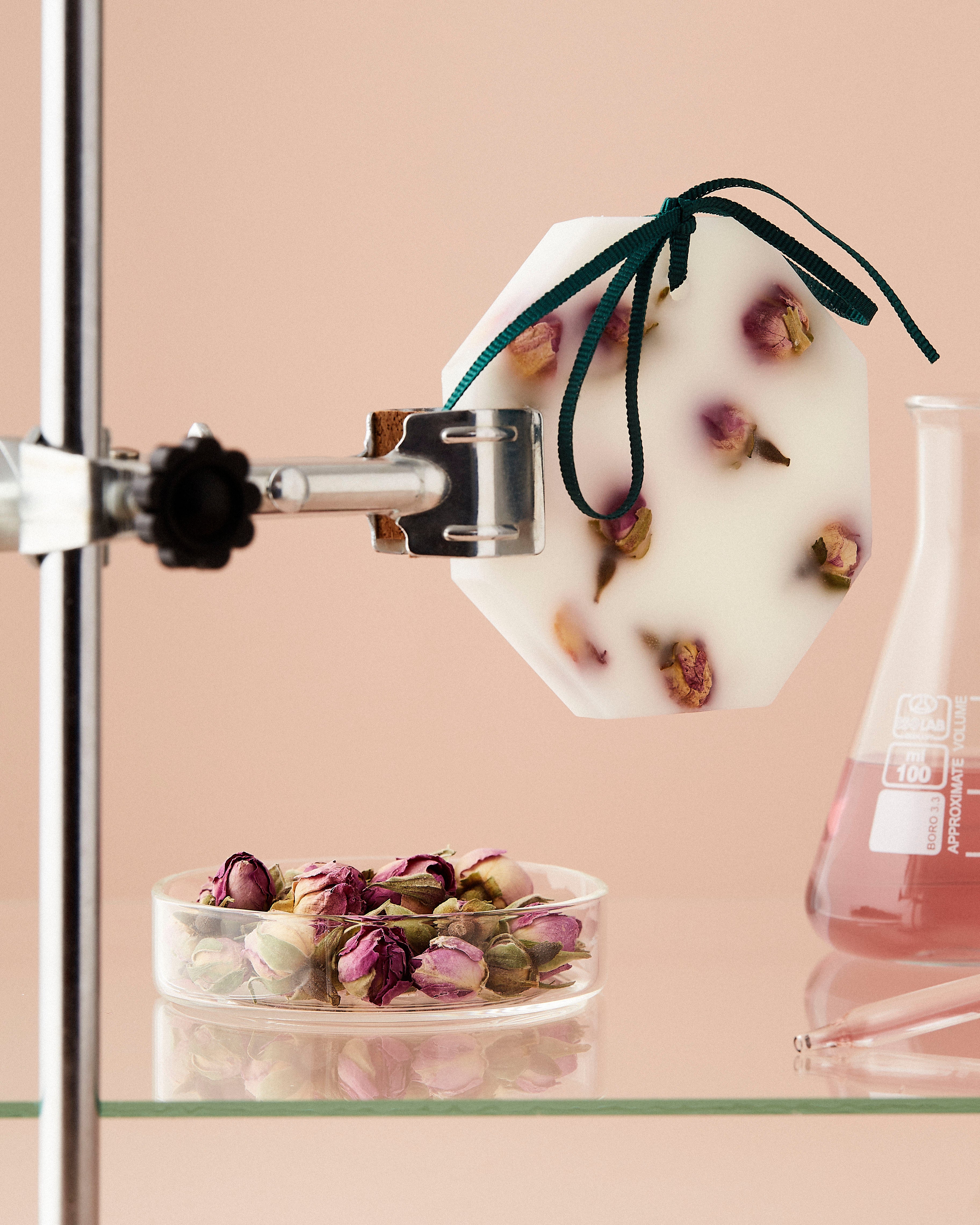 Damask Rose Botanical Palet