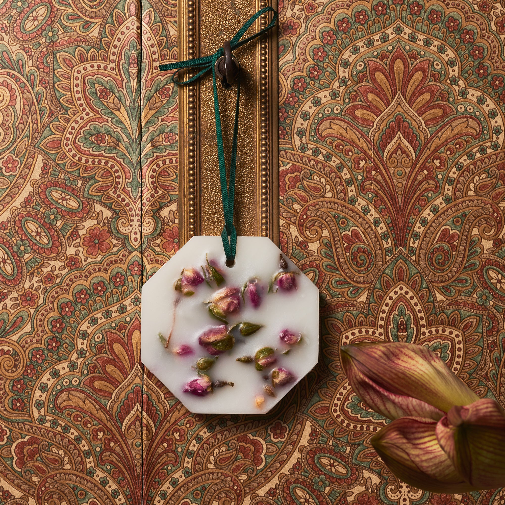 Damask Rose Botanical Palet