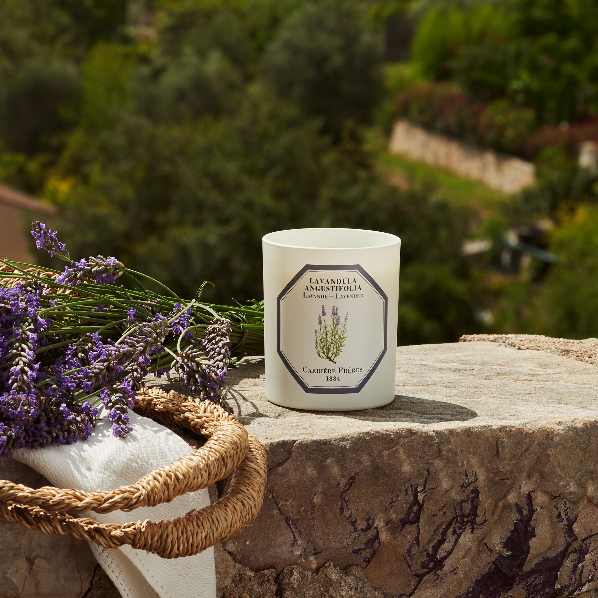 LLOYD AND PAUL HOME LUXURIES CARRIERE FRERES LAVENDER CANDLE