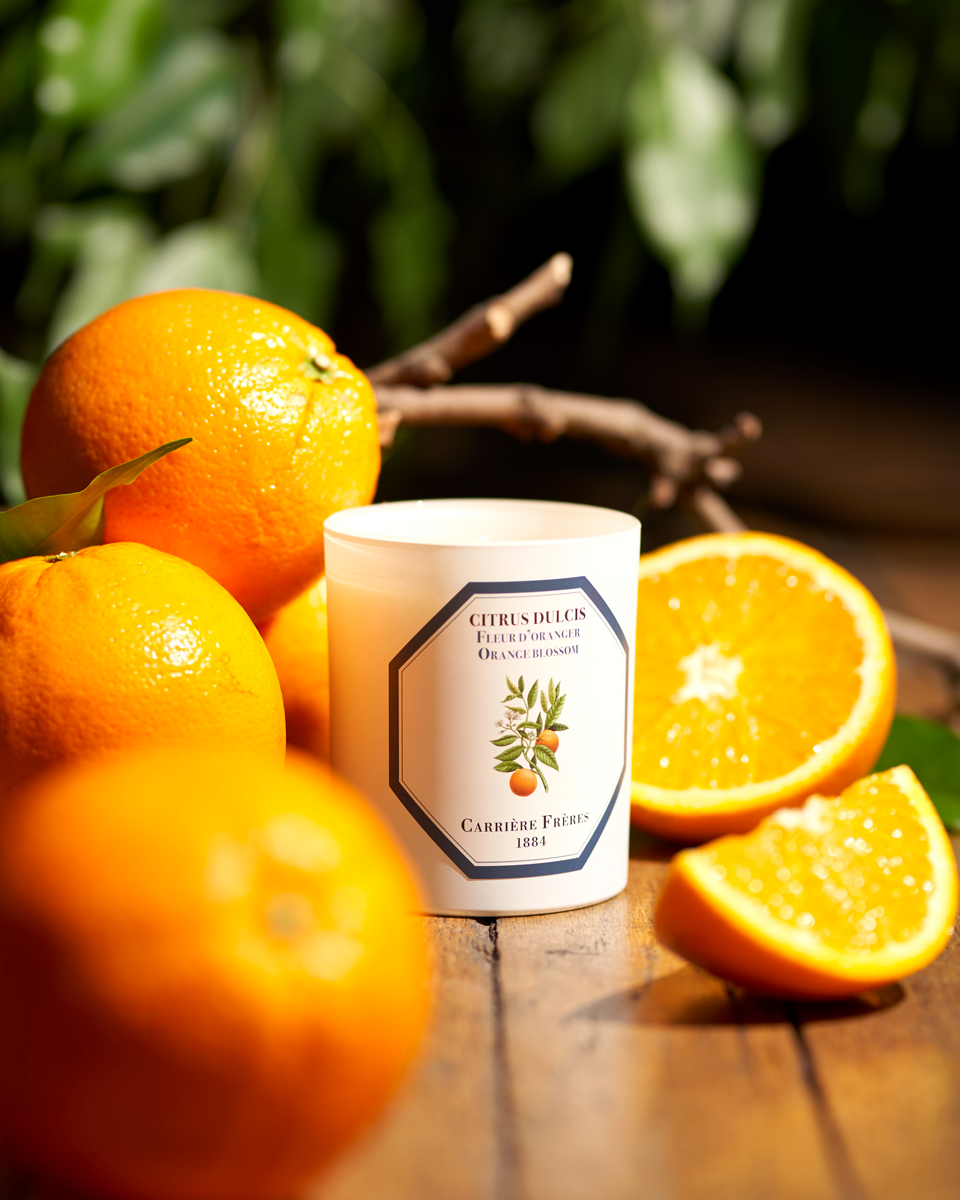 LLOYD AND PAUL HOME LUXURIES CARRIERE FRERES Orange Blossom Candle 185g