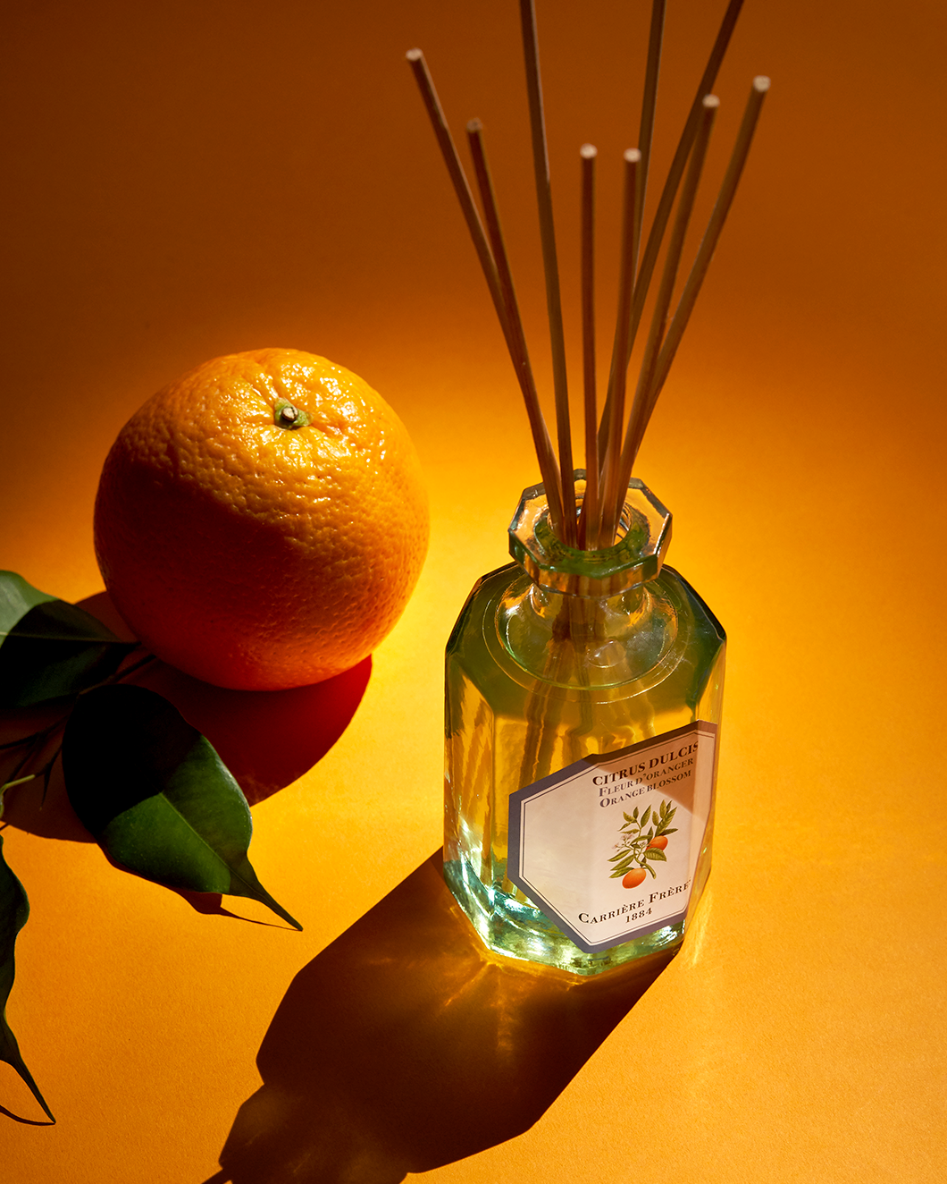 LLOYD AND PAUL HOME LUXURIES CARRIERE FRERESOrange Blossom Diffuser 200ml