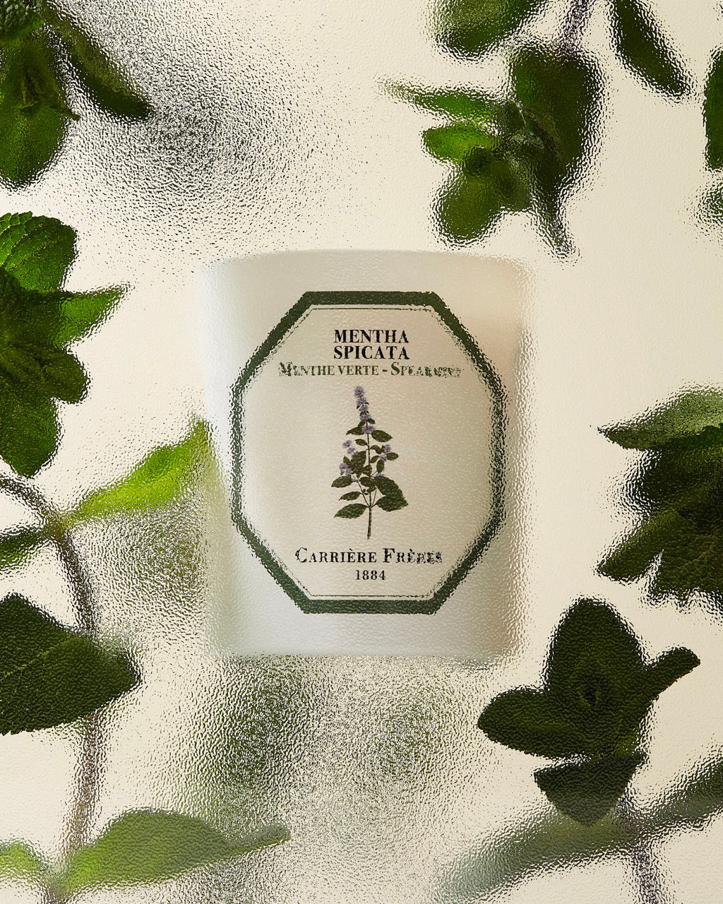 LLOYD AND PAUL HOME LUXURIES CARRIERE FRERES Spearmint Candle