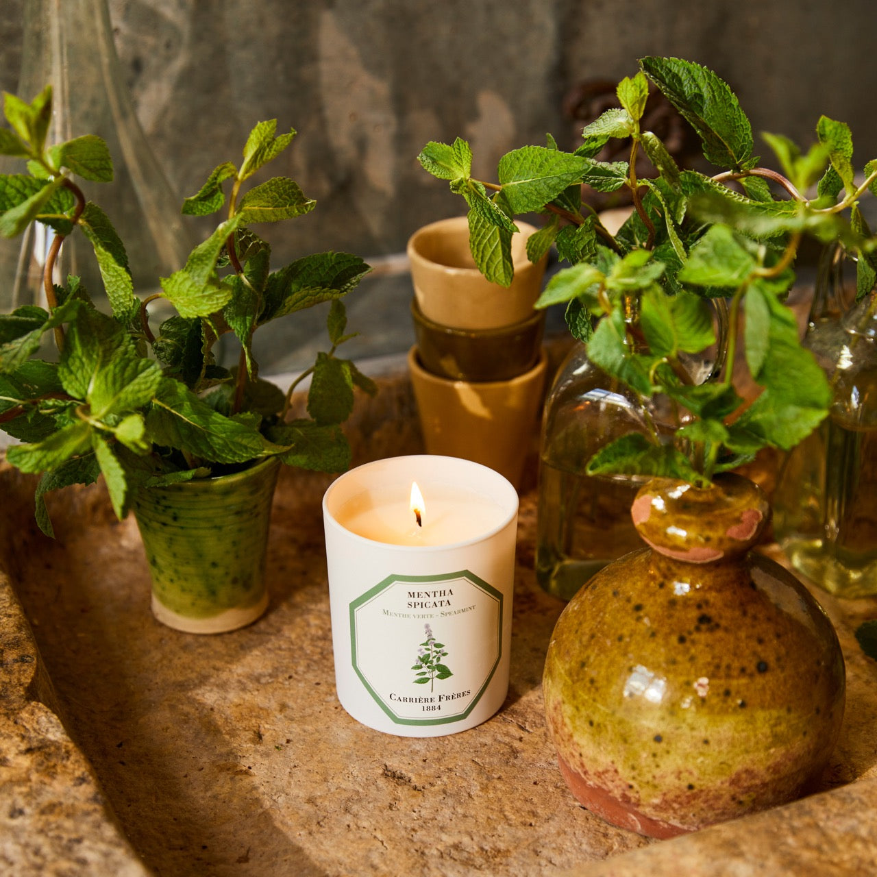 LLOYD AND PAUL HOME LUXURIES CARRIERE FRERES
Spearmint Candle 185g