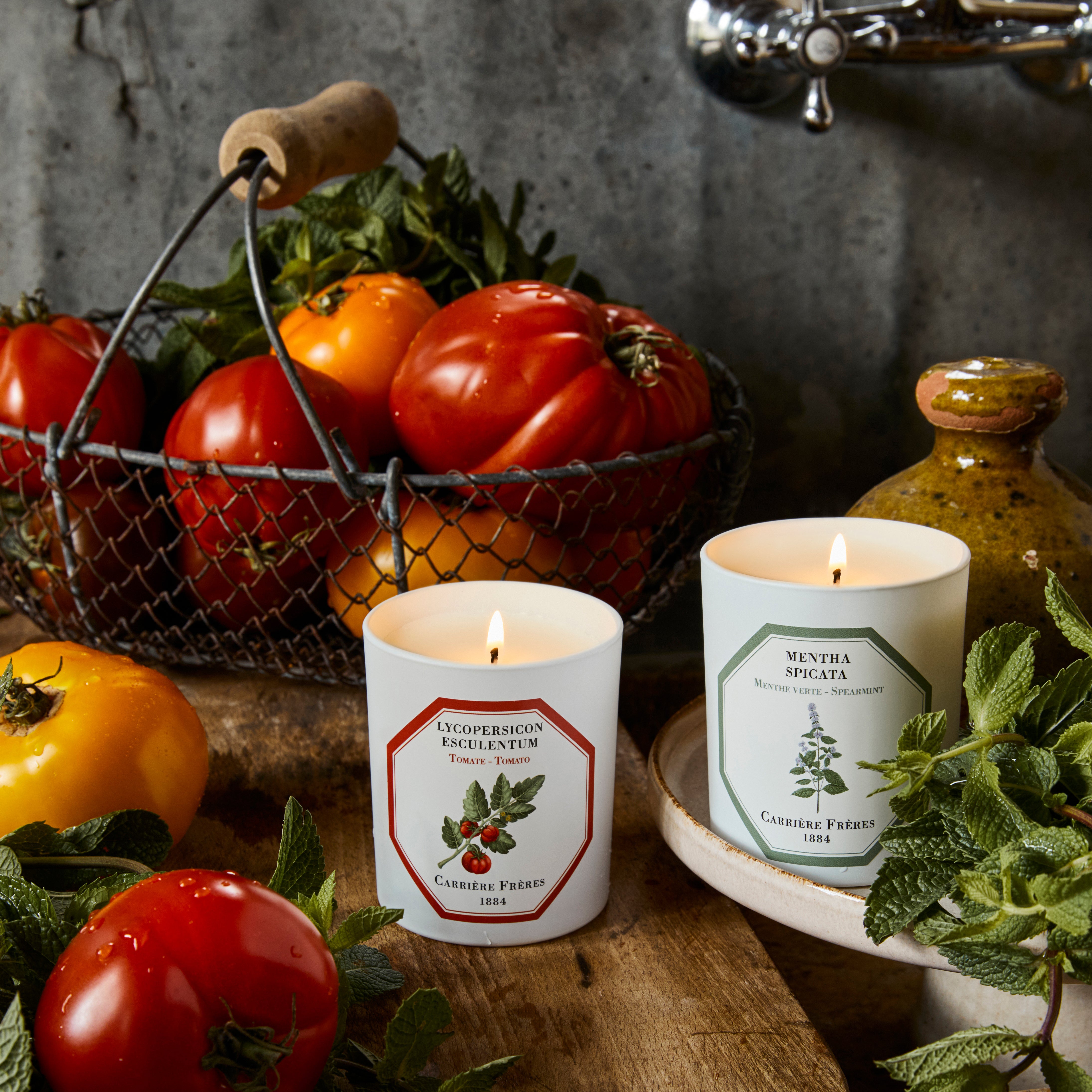 Carrière Frères Botanical Scents for Lloyd and Paul Home Luxuries