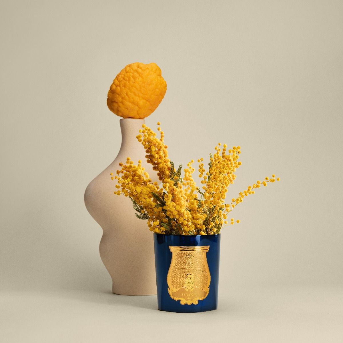 TRUDON MIMOSA ESTEREL CANDLE IN BLUE JAR