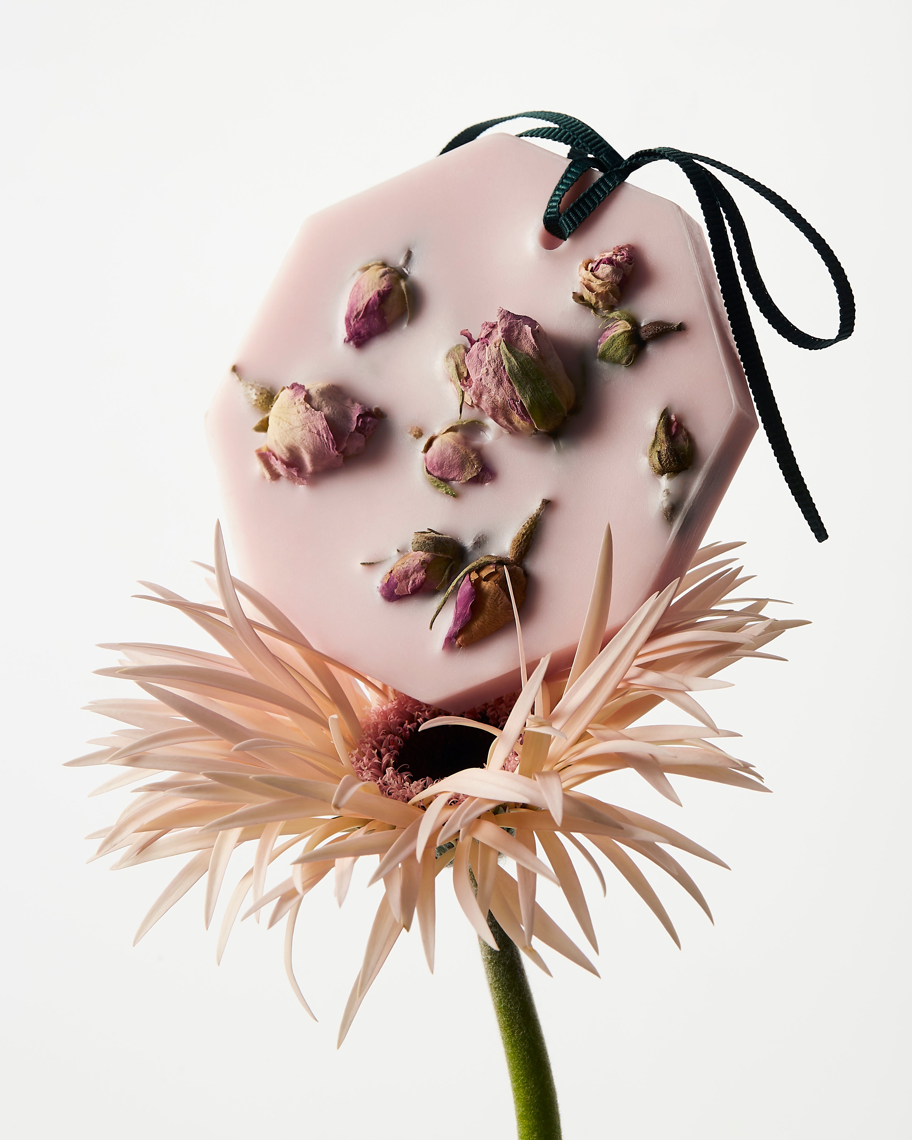 LLOYD AND PAUL HOME LUXURIES CARRIERE FRERES Rose Mint Botanical Palet