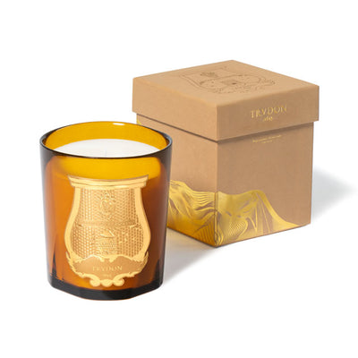 Trudon Altair scented candle in a handcrafted gold-leaf interior glass vessel. A luxury home fragrance featuring oud, rose, and sandalwood notes. Premium 270g designer candle for elegant home decor and gifting.