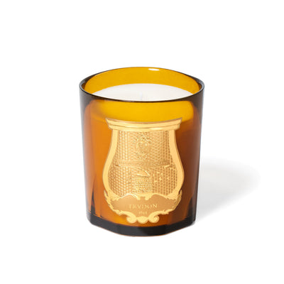 Trudon Altair scented candle in a handcrafted gold-leaf interior glass vessel. A luxury home fragrance featuring oud, rose, and sandalwood notes. Premium 270g designer candle for elegant home decor and gifting.
