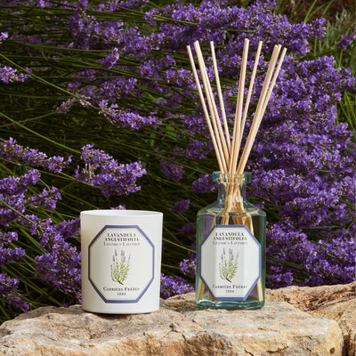 LLOYD AND PAUL HOME LUXURIES CARRIERE FRERES LAVENDER RANGE