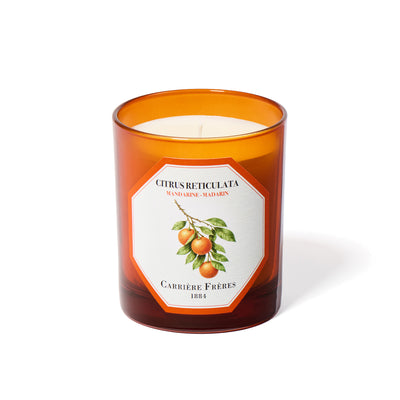 An amber glass jar candle with a white wax fill and a white label featuring an orange and green mandarin illustration. The label reads 'CITRUSRETICULATA MANDARIN-SOURDIN' and 'CARRIÈRE FRÈRES 1884'.
