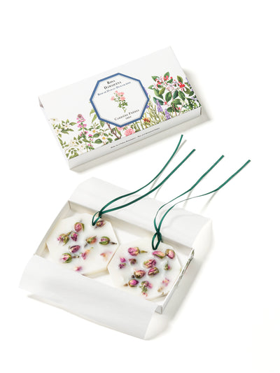 Damask Rose Botanical Palet