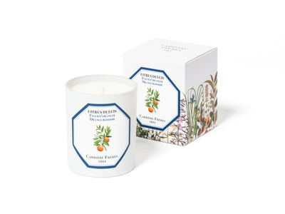 LLOYD AND PAUL HOME LUXURIES CARRIERE FRERES Orange Blossom Candle