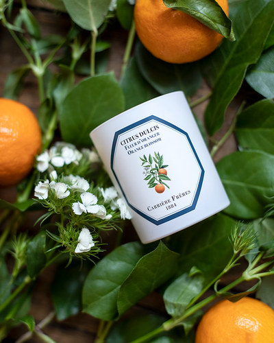 Orange Blossom Candle 185g