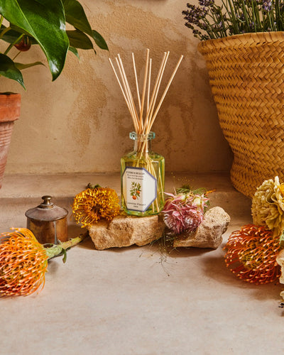LLOYD AND PAUL HOME LUXURIES CARRIERE FRERES Orange Blossom Diffuser 200ml