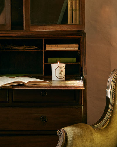 LLOYD AND PAUL HOME LUXURIES CARRIERE FRERES Sandalwood Candle 185g