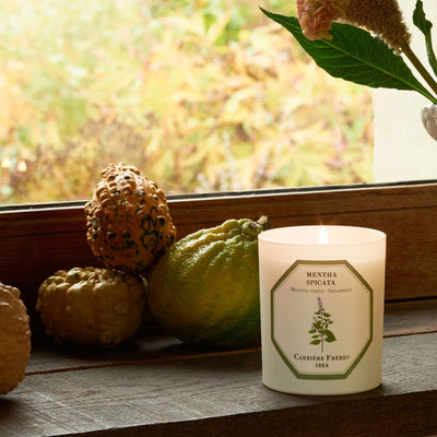 LLOYD AND PAUL HOME LUXURIES CARRIERE FRERES Spearmint Candle 185g