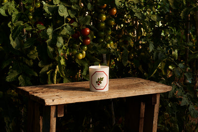 Tomato Candle 185g