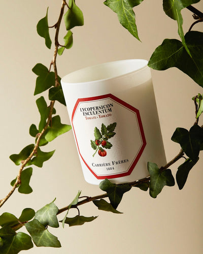 Tomato Candle 185g
