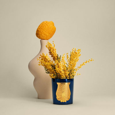 TRUDON MIMOSA ESTEREL CANDLE IN BLUE JAR