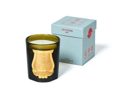 Ernesto (Leather & Tobacco) 270g Candle